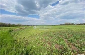 Eladó Martonvásári fejlesztési lakóterület hirdetés (93337794)