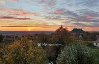 Eladó Sümegi hétvégi ház hirdetés (29345758)