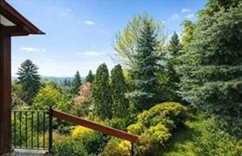 Eladó Verőcei családi ház hirdetés (39363313)