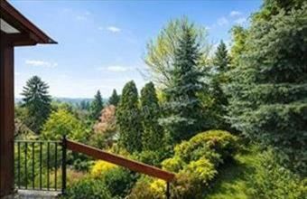 Eladó Verőcei családi ház hirdetés (39363313)