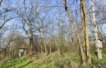 Eladó Inárcsi egyéb telek hirdetés (35438932)