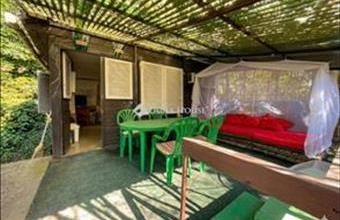 Eladó Tiszaugi hétvégi ház hirdetés (87787561)