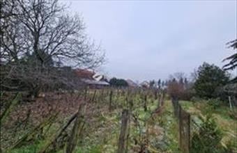 Eladó Érdi lakóövezeti telek hirdetés (22335325)