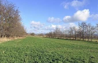 Kiadó Tatai egyéb mezőgazdasági ingatlan hirdetés (98467742)