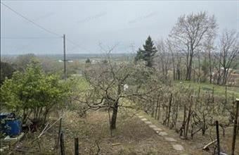 Eladó Győrújbaráti egyéb mezőgazdasági ingatlan hirdetés (85573331)