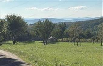 Eladó Monostorapáti hétvégi ház hirdetés (24493534)