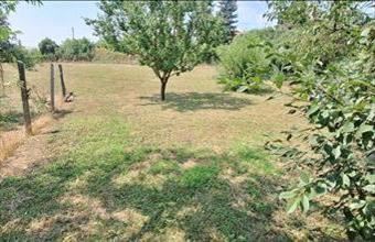 Eladó Aszódi lakóövezeti telek hirdetés (13965379)