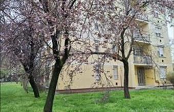 Eladó Szolnoki tégla lakás hirdetés (73353433)