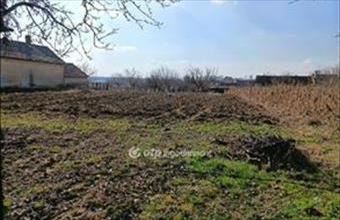 Eladó Somogysárdi lakóövezeti telek hirdetés (24323392)