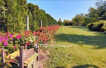 Eladó Töltéstavai egyéb mezőgazdasági ingatlan hirdetés (34687543)