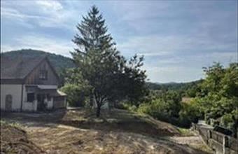 Eladó Solymári családi ház hirdetés (31583484)