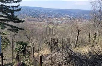 Eladó Budapest II. kerületi külterületi telek hirdetés (79642493)