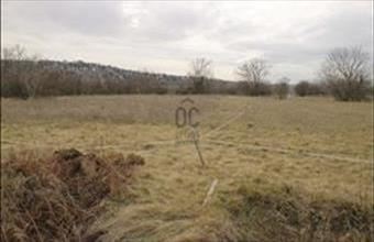 Eladó Törökbálinti egyéb mezőgazdasági ingatlan hirdetés (63269371)