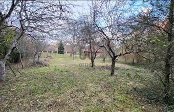 Eladó Solymári lakóövezeti telek hirdetés (47849962)