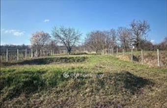 Eladó Töki külterületi telek hirdetés (59744334)