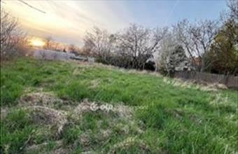 Eladó Szentesi egyéb telek hirdetés (62586434)