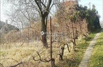 Eladó Keszüi külterületi telek hirdetés (43243757)