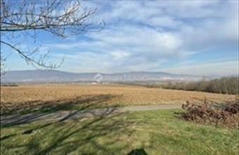 Eladó Gyódi egyéb telek hirdetés (48929587)