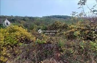 Eladó Keszüi külterületi telek hirdetés (83292426)