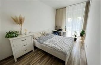 Kiadó Budapest XI. kerületi tégla lakás hirdetés (99794237)