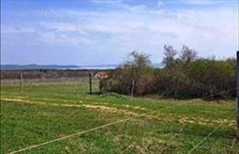 Eladó Balatonudvari egyéb mezőgazdasági ingatlan hirdetés (74443747)