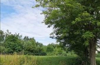 Eladó Győrzámolyi lakóövezeti telek hirdetés (24479274)