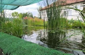 Eladó Táborfalvai tanya hirdetés (37492717)