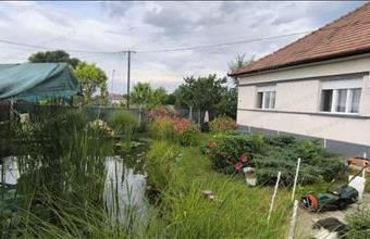 Eladó Táborfalvai tanya hirdetés (94295257)