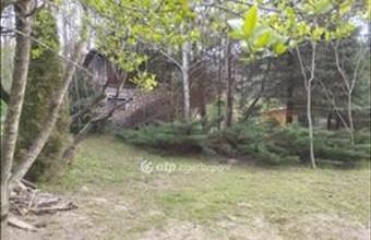 Eladó Döbröntei üdülőövezeti telek hirdetés (95362562)