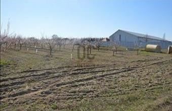 Eladó Abonyi egyéb mezőgazdasági ingatlan hirdetés (72866542)