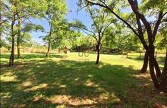 Eladó Tököli lakóövezeti telek hirdetés (33336648)