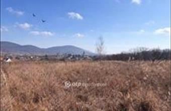 Eladó Erdőbényei családi ház hirdetés (92785361)