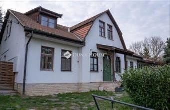 Eladó Leányfalui családi ház hirdetés (76436843)