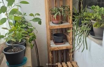 Eladó Aranyosgadányi családi ház hirdetés (38953294)