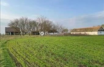 Eladó Városföldi tanya hirdetés (17794252)