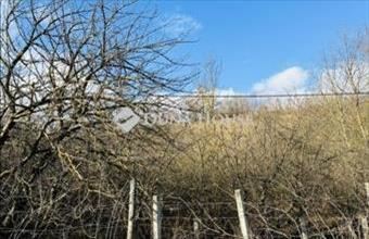 Eladó Tokodi külterületi telek hirdetés (63884394)