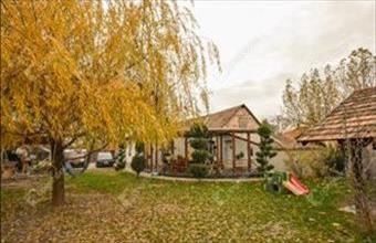 Eladó Domaszéki családi ház hirdetés (74643499)