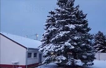 Eladó Gönyűi családi ház hirdetés (78284844)