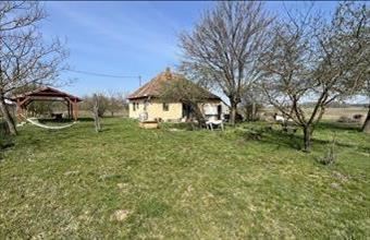 Eladó Nyíregyházai tanya hirdetés (93558146)