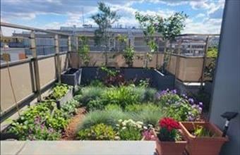 Eladó Budapest XIII. kerületi tégla lakás hirdetés (98837627)