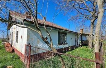 Eladó Szentesi hétvégi ház hirdetés (35374378)