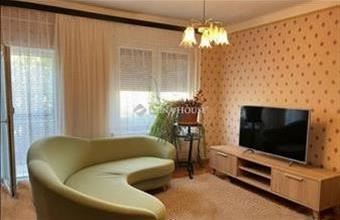 Eladó Váci családi ház hirdetés (39256935)