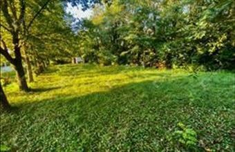 Eladó Fertőszentmiklósi lakóövezeti telek hirdetés (43179514)