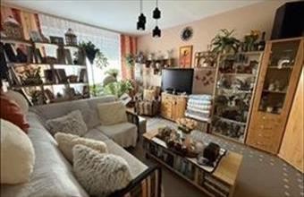 Eladó Nyergesújfalui panel lakás hirdetés (49473967)