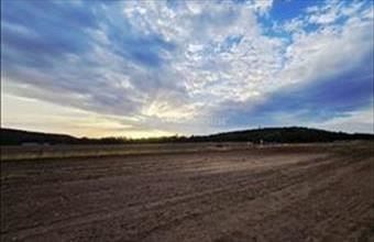 Eladó Mogyoródi termőföld, szántó hirdetés (37554949)