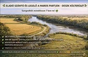 Eladó Deszki egyéb mezőgazdasági ingatlan hirdetés (98231995)