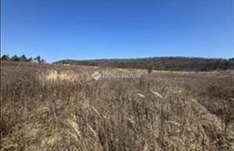 Eladó Pilisborosjenői lakóövezeti telek hirdetés (38924535)