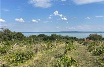 Eladó Balatonszepezdi lakóövezeti telek hirdetés (58743974)