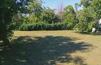 Eladó Zamárdi lakóövezeti telek hirdetés (25238976)