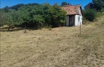 Eladó Lepsényi zártkert hirdetés (79683436)